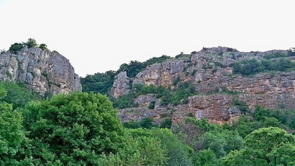 Посещение парка «Урочище Кизил-Коба» в Крыму временно ограничено