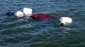 Сотрудники МЧС в Симферопольском водохранилище нашли затонувшее авто