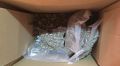 Полицейские изъяли два килограмма марихуаны у жителя Сакского района