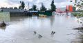 Крым получит 124,4 млн рублей на капремонт учебных заведений после наводнения 