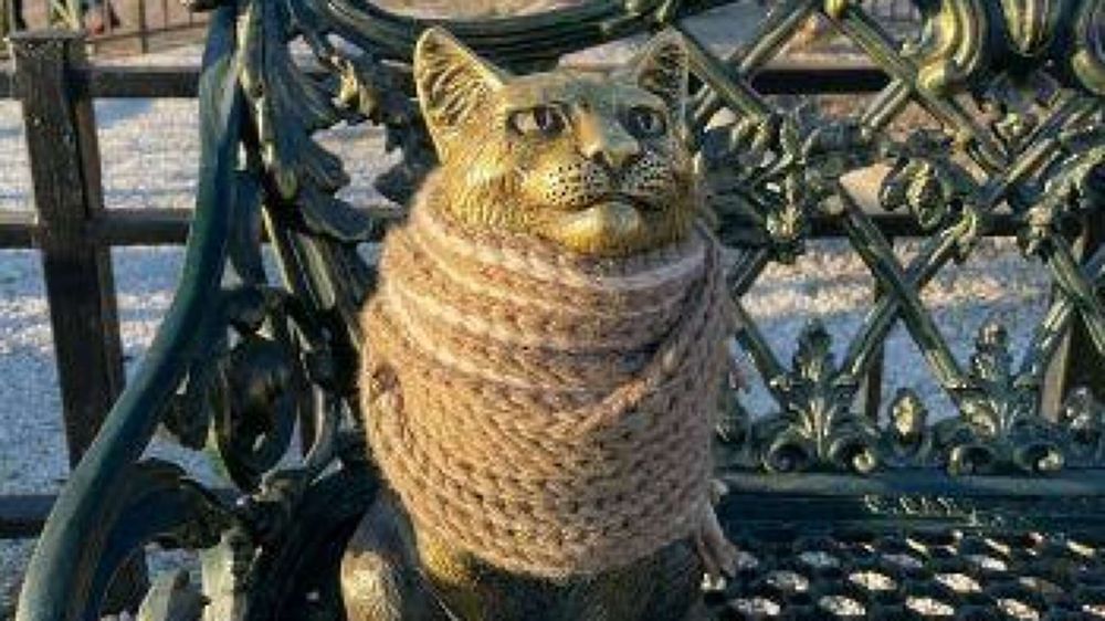 Согреть кота: в Благовещенске одели памятник - фото