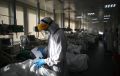 В России выявили 39 165 новых заразившихся коронавирусом за сутки