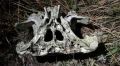 Житель Керчи продает найденный «череп инопланетянина» за 10 тыс рублей
