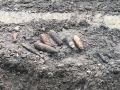 При расчистке русла реки в Ялте нашли десятки снарядов