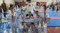 Юные спортсмены достойно представили Белогорский район на Республиканском турнире по Киокушин "Юный Мастер"