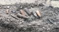 Расчистка реки Дерекойка в Ялте замедлилась из-за обнаружения боеприпасов