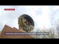 В Евпатории задержали вандалов, осквернивших памятник Кирову