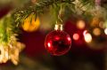 В Евпатории установят искусственную новогоднюю ёлку