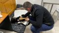Собаке Чернушке, пострадавшей от рук живодера в Симферополе, купят коляску