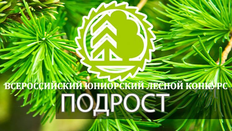 Минприроды Крыма напоминает о возможности поучаствовать в Республиканском этапе Всероссийского юниорского лесного конкурса «Подрост»