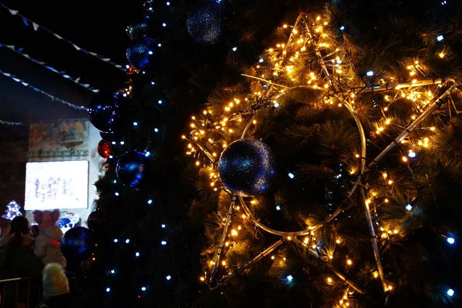 В Севастополе отменили праздничное открытие новогодней ёлки