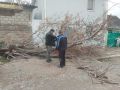 В Симферополе три бригады убирают с дорог поваленные деревья