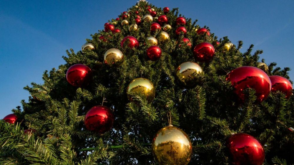 Севастополь встретит Новый год без гуляний у елки