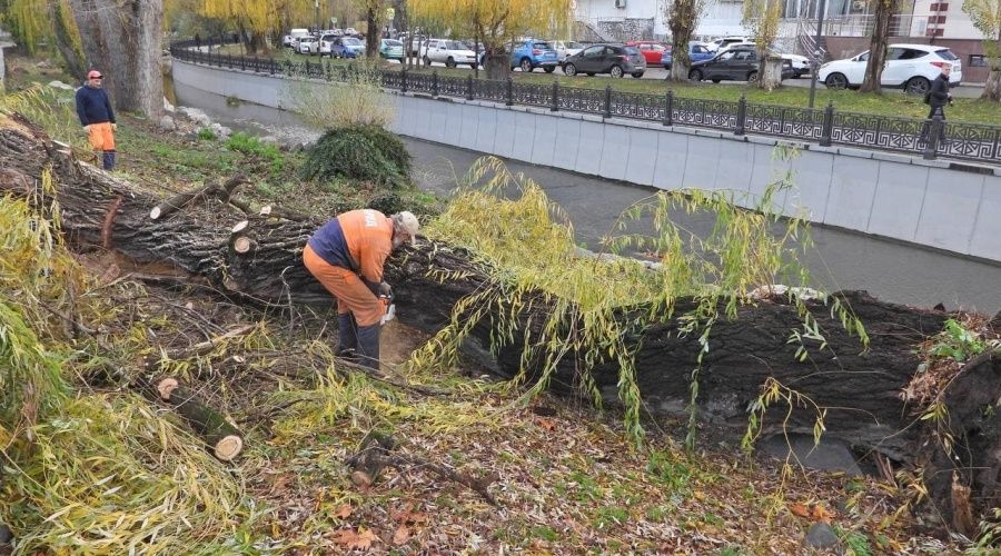 Ураган в крыму. Ураган в Крыму сегодня. Ураган в Крыму 29 ноября. Крым последствия непогоды. В Крыму падали деревья.