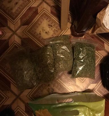 Симферопольцу грозит тюрьма за выращивание марихуаны на поле в Бахчисарайской районе