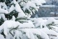 В Крыму 1 декабря ожидаются дожди и снег