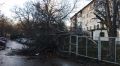 Ураган в Симферополе повалил более 40 деревьев