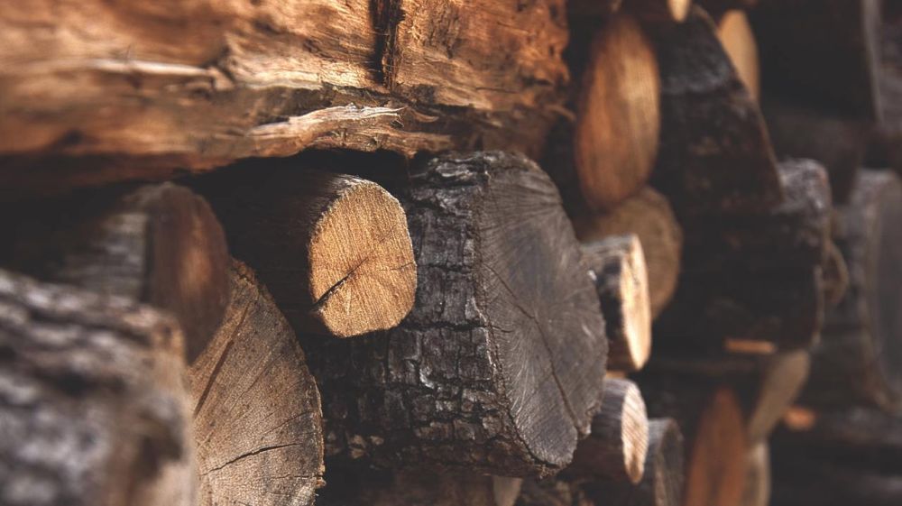 Минприроды Крыма информирует об утверждении требований к складам древесины