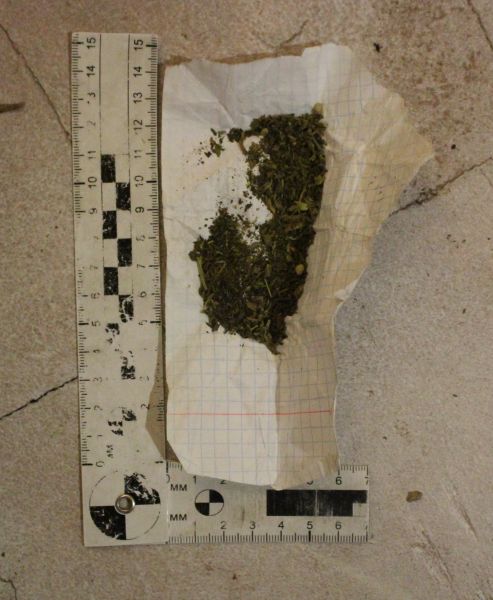 В Судаке полицейские задержали подозреваемого в хранении наркосодержащих растений