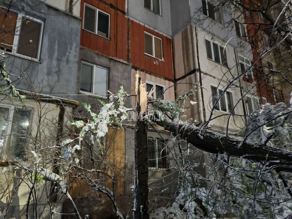 Сильный ветер повредил 3 кровли в Севастополе