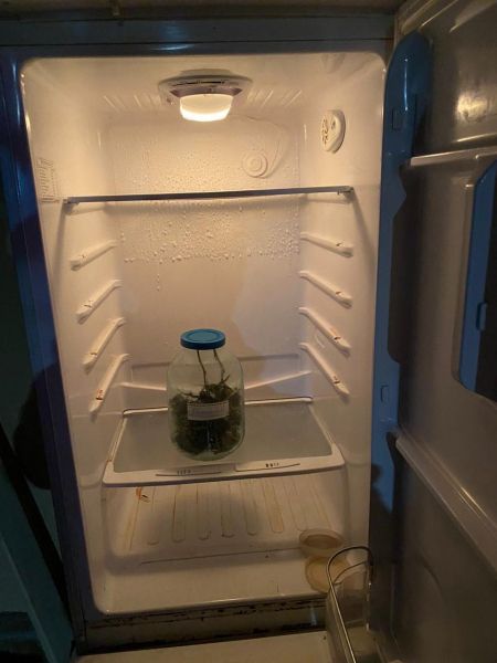 Ялтинцу грозит тюрьма за марихуану в холодильнике