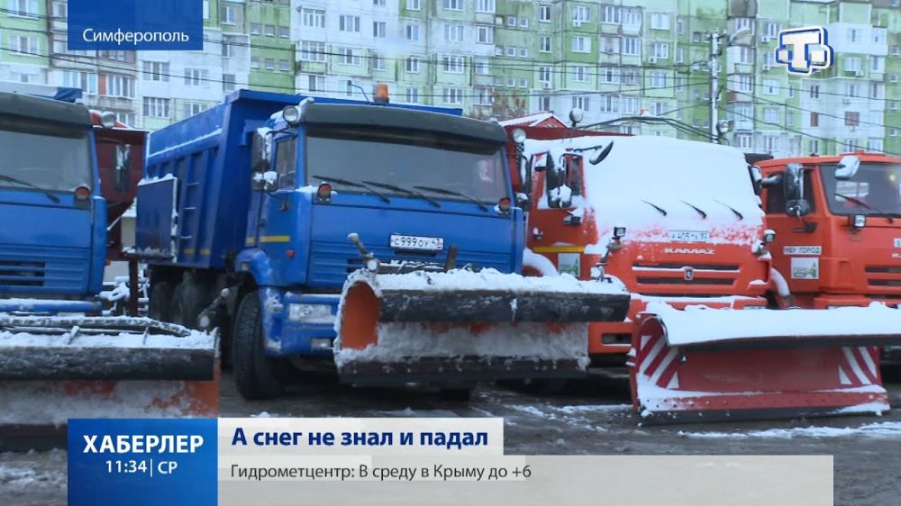 В Крыму ликвидируют последствия ночного снегопада