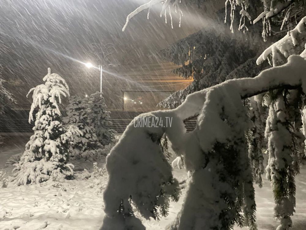 В Симферополе выпал первый снег. ФОТОРЕПОРТАЖ