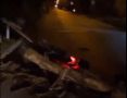 В Феодосии сильный ветер повалил дерево и светофор на дорогу, отрезав от центра микрорайон. ВИДЕО