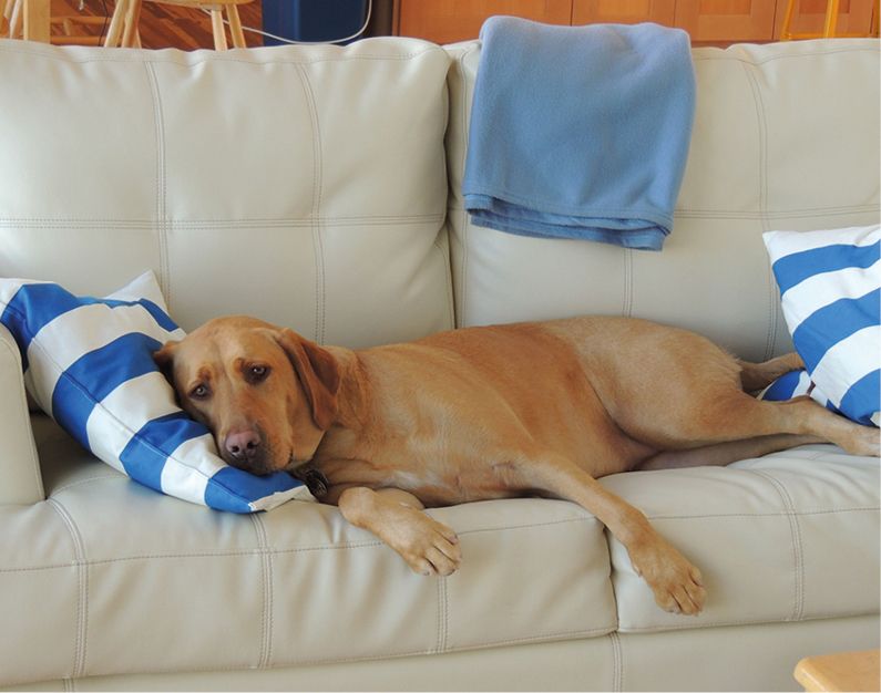 Здоровье позвоночника