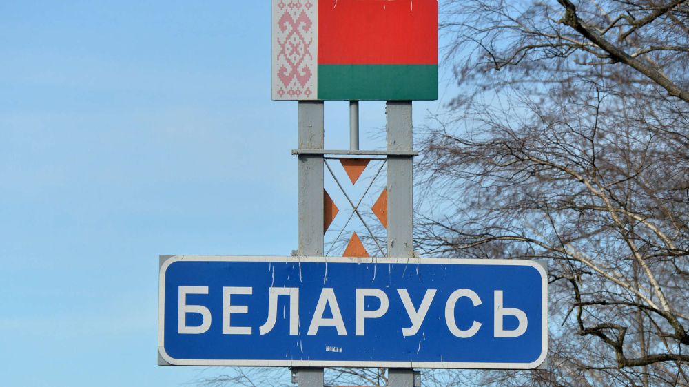 Лукашенко не исключил досрочных выборов президента Белоруссии