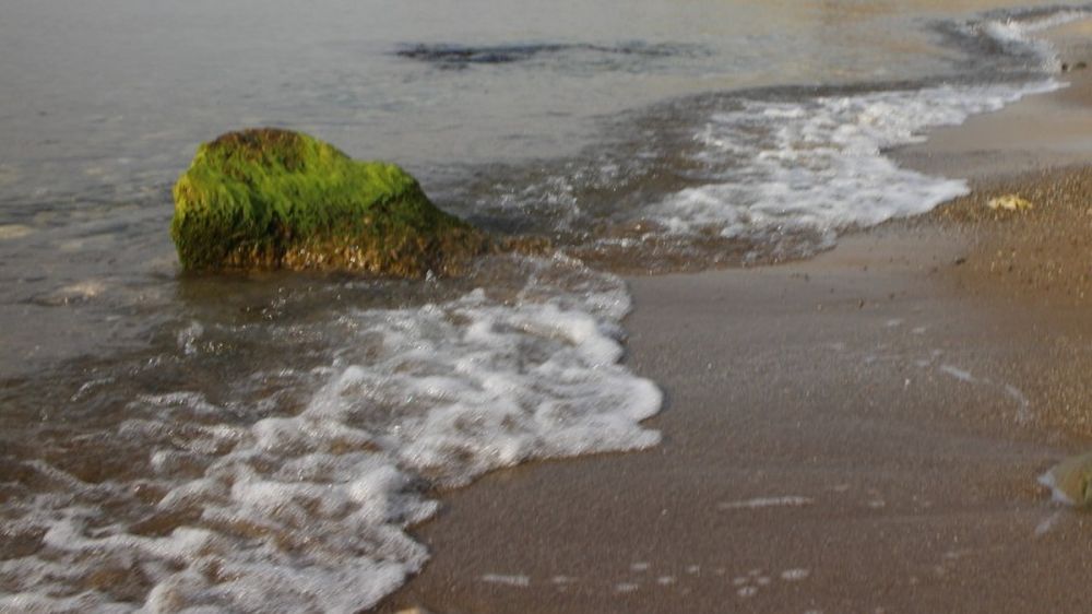 В Крыму выявили 29 случаев загрязнения моря нефтепродуктами