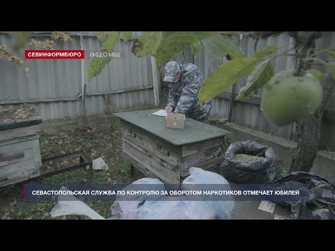 Севастопольская служба по контролю за оборотом наркотиков отмечает юбилей