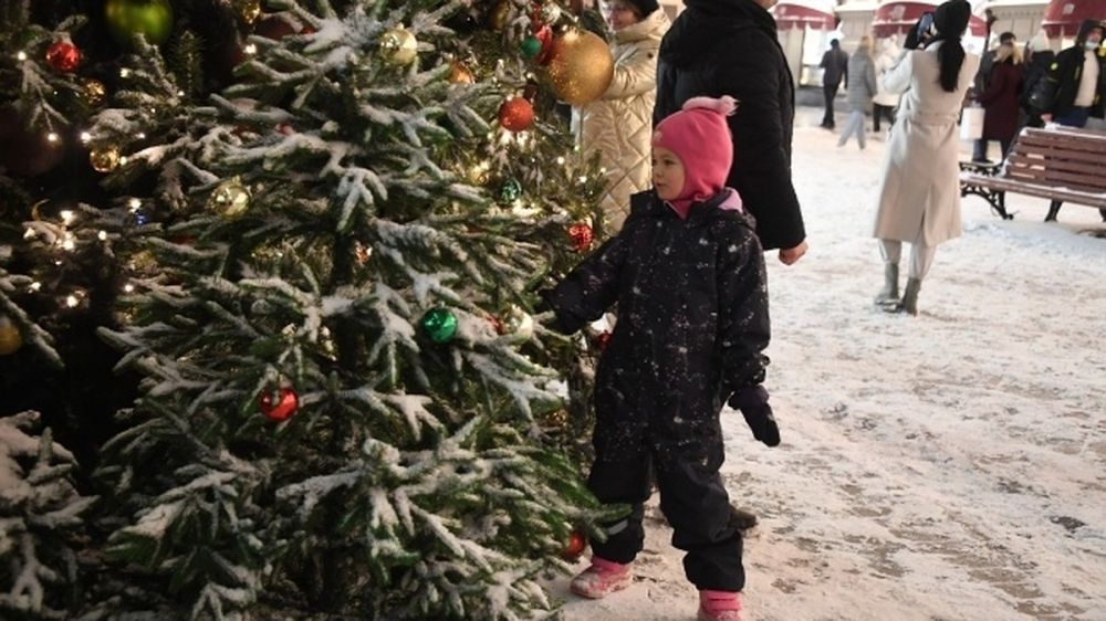 Главную новогоднюю елку Ялты установят на набережной через неделю