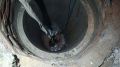 В Евпатории спасатели вызволили быка из глубокого колодца - фото
