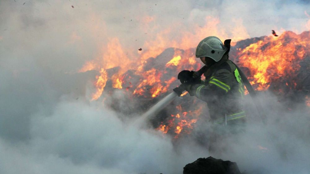 Сколько пожаров произошло в Крыму за год