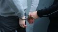 В Крыму арестовали водителя, сбившего на обочине детей