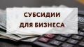 Более 8,8 тысяч крымских МСП подали заявку на получение субсидии за нерабочие дни – Дмитрий Шеряко