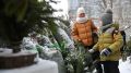 В Крыму за год выдано больше 15 тысяч удостоверений «Родитель многодетной семьи»