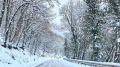 Синоптики прогнозируют снежное и морозное 1 января в Крыму