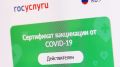 Вернутся ли QR-коды в Севастополь после Нового года – эксперты