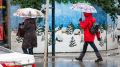 Новогодний прогноз от ФОБОС для Крыма: ждать ли снег