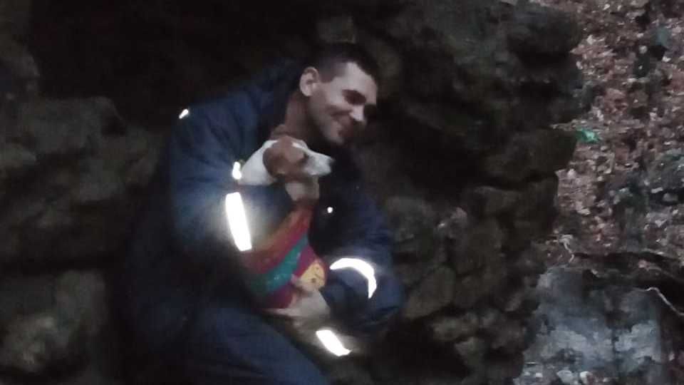 Сотрудники ГКУ РК "КРЫМ-СПАС" спасли собаку, провалившуюся в заброшенный каптаж
