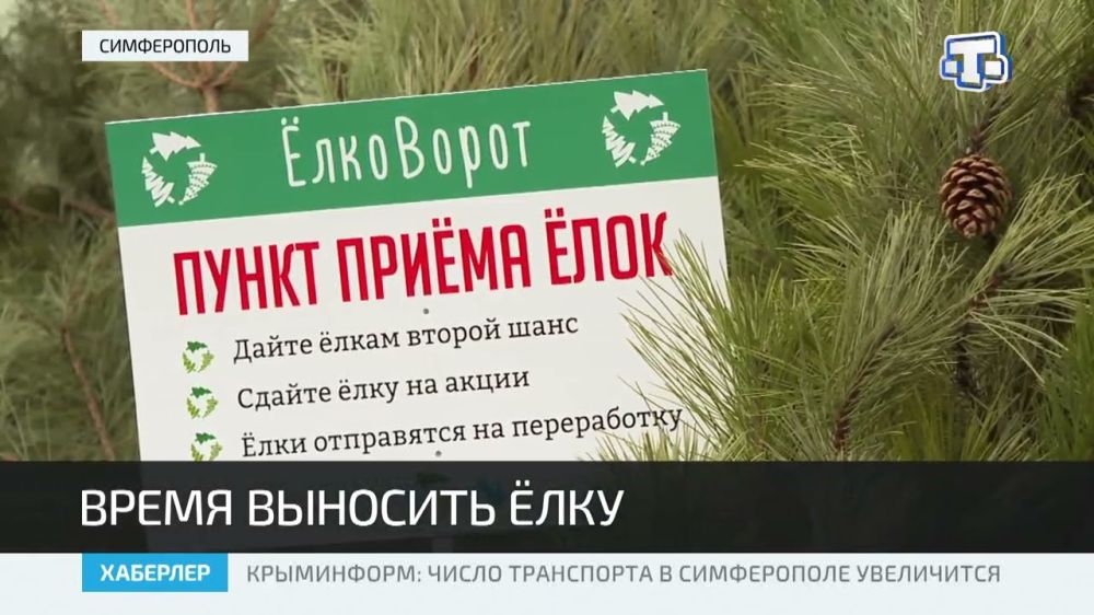 В Симферополе стартовала эко-акция «Ёлковорот»
