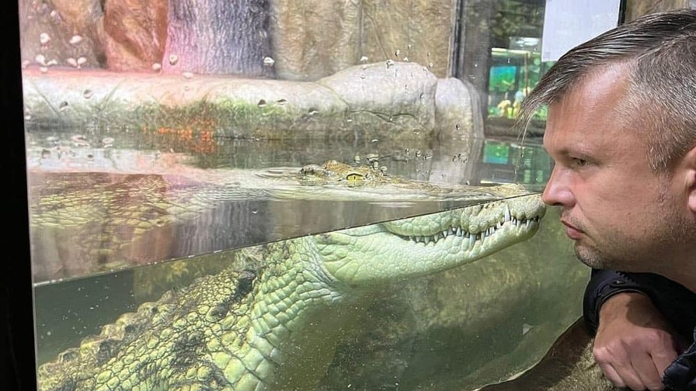 Что произошло за ночь 18 января: крокодиляриум в Ялте рискует закрыться навсегда