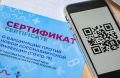 Необходимости возврата требования о QR-кодах в Севастополе сейчас нет — Михаил Развожаев