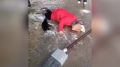 В Симферополе на женщину 18 января упал фонарь
