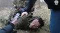 Появилось видео задержания организаторов заказного убийства бизнесмена из Крыма: силовики открыли огонь