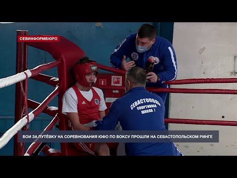 Бои за путёвку на соревнования ЮФО по боксу прошли на севастопольском ринге
