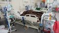 Минздрав Крыма: Чаще всего пациенты переносят «омикрон» бессимптомно