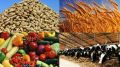 «Агромер» – портал сельхозпродукции